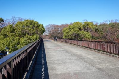 代々木公園 フリマ ブログ 橋