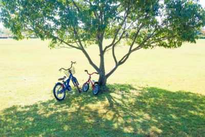 電車 子供 遊び場 関東 自転車と木