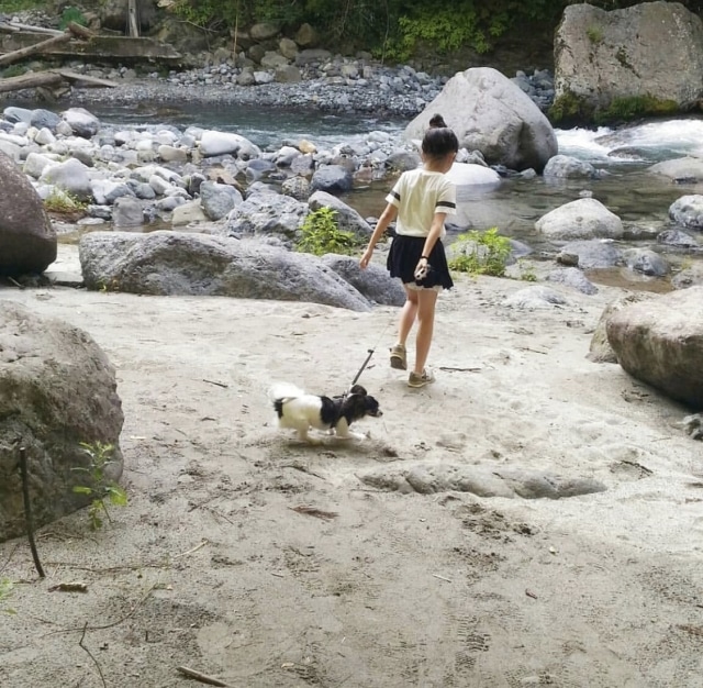 犬 と 川遊び 関西